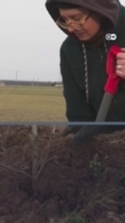 Poland’s new generation of female organic farmers