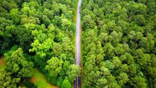 Inside a World Without Humans: What Happens to Cities