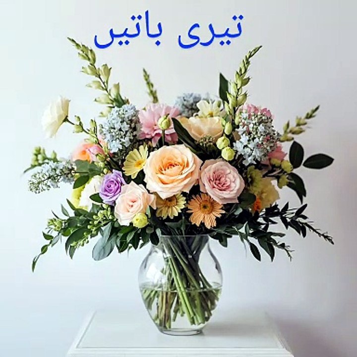 تیری باتیں