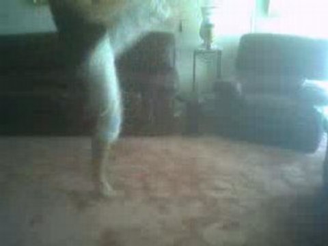 prissou [Jumping-United] hardjump & tekstyle