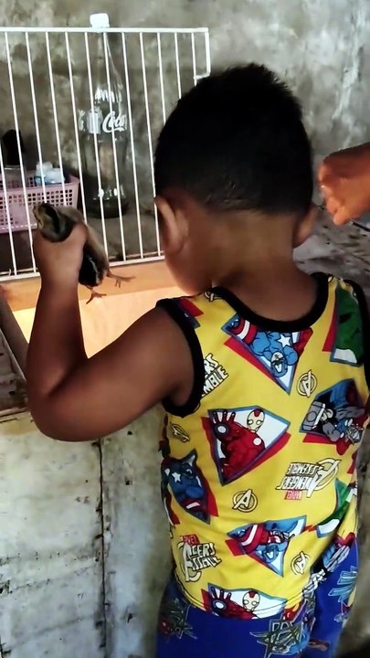 Isaiah & Papa RG's Playtime: Holding Chicks and Flying Like a Helicopter! 🐥🎈
