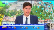 Bonjour DICI du mardi 2 juin 2026