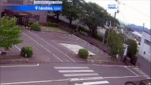 Niedźwiedź goni i atakuje pracowników w Japonii