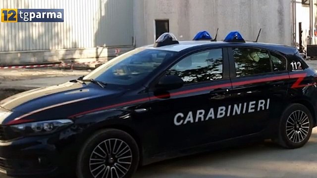 Incidente Sul Lavoro A Busseto, Muore Operaio 38enne