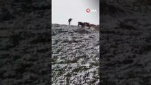 Ardahan’da Haziran Ayında Kar Yağışı Şaşırttı