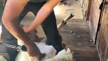 Viral video part 3 #trending #shorts