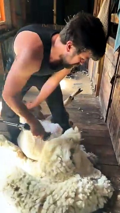 Viral video part 3 #trending #shorts