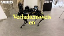 Wuffy Roboter Hund Erfahrungen – Interaktiver Spaß mit moderner Technologie [Wuffy Roboter Hund Rezensionen]