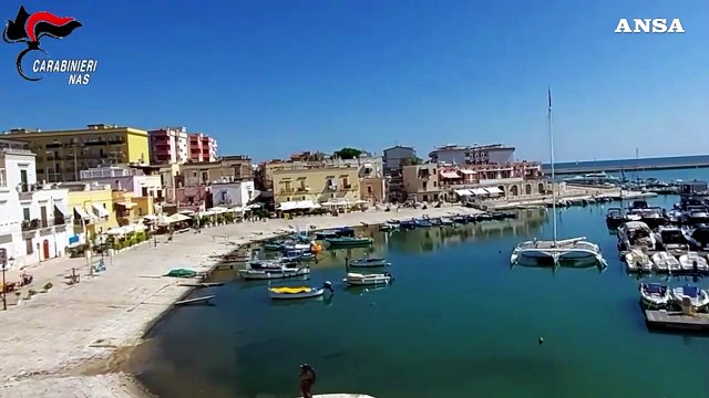 Frodi nel settore ittico, con commercio in tutta Italia: 18 misure cautelari