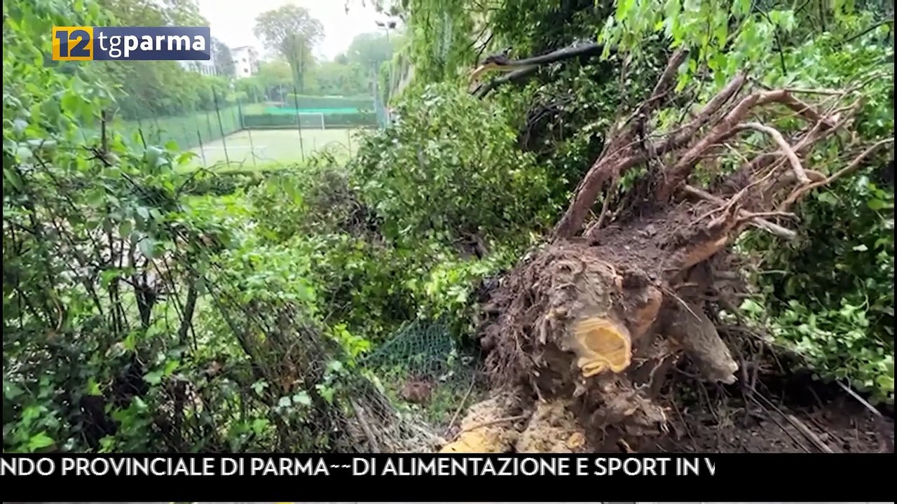 Rientrata allerta meteo - Video