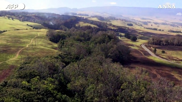 Incendi alle Hawaii, a fuoco le foreste: elicotteri in azione per domare le fiamme