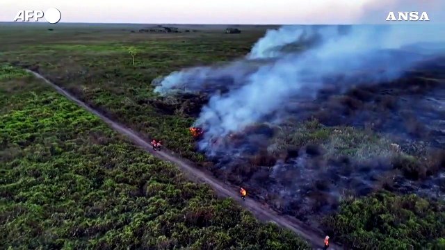 Incendi in Brasile, distrutti dal fuoco 500 mila ettari nel Pantanal