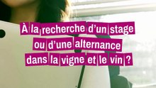 A la recherche d'un stage ou alternance ?
