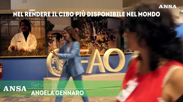 Vertice Fao, dal settore privato tecnologie chiave per l'agricoltura sostenibile