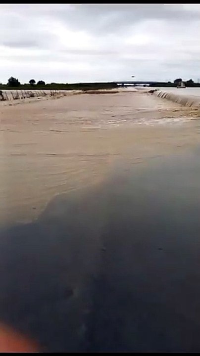 A14 ALLAGATA