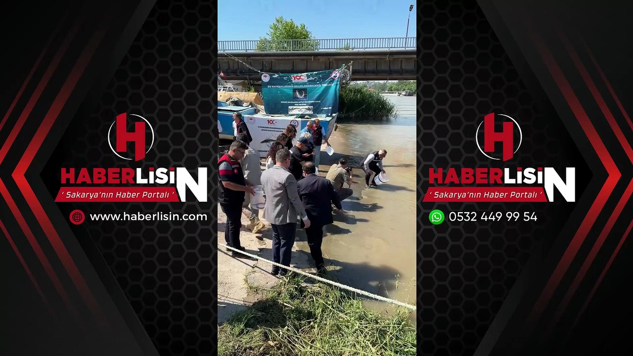Sakarya Nehri’ne bin 500 mersin balığı bırakıldı