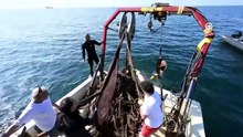 Denizin altındaki ölüm tuzağı temizlendi! 15 bin metrekarelik hayalet ağ çıkarıldı