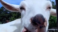 viral funny video compilation