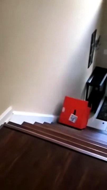 The best viral moments daily!