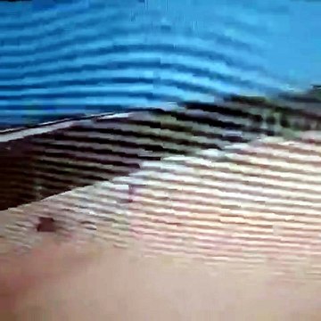 Aereo esce di pista durante l'atterraggio: il video dello spaventoso incidente. Tutti illesi
