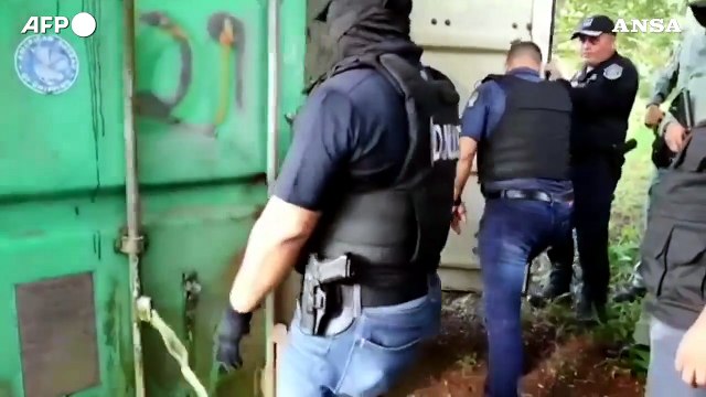 Sequestrate sei tonnellate di pinne di squalo a Panama, cinque arresti
