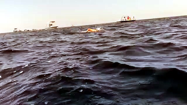 La nuova impresa a nuoto sullo stretto di Messina è del 14enne parmigiano Gaspare - Video