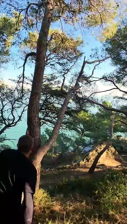 Tarzan en vrai