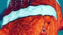 [Discover the World Episode 190] 모사사우루스 니모의 백상아리 사냥 | 쥬라기 월드 에볼루션 2