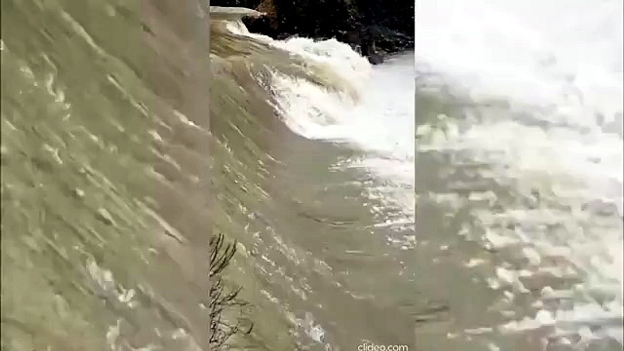 Torrente Lubiana