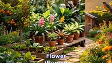 bahasa inggris animasi nama benda yang ada di kebun