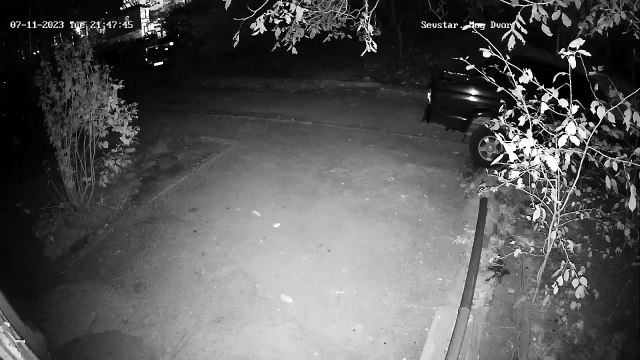 Deruba una signora ma intervengono due maestri di arti marziali - Video