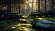 bahasa inggris animasi nama benda yang ada di hutan