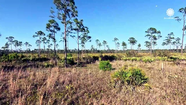 What Florida's extreme drought means for the upcoming hurricane season
