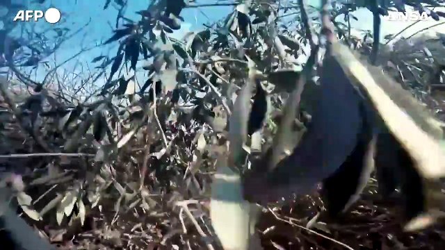 Gaza, Hamas diffonde immagini di combattimenti nella Striscia