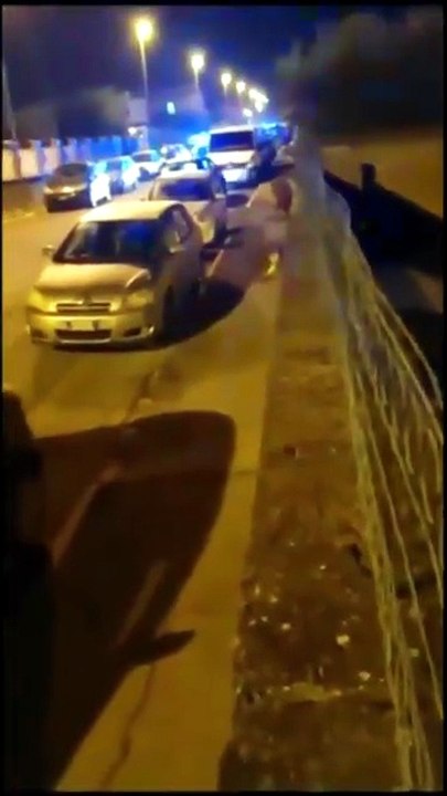 Leone scappa dal circo e se na va in giro per Ladispoli: ore di paura - Video