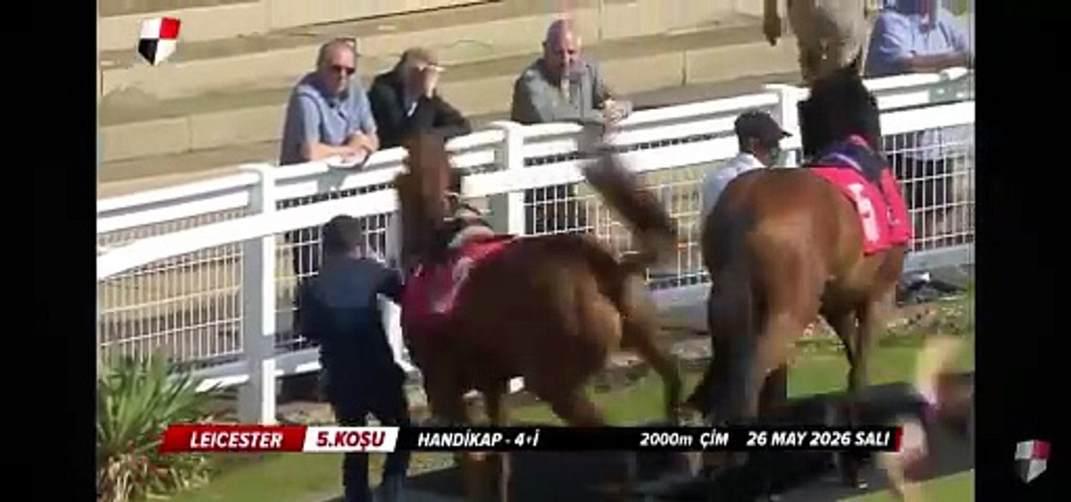 Una mujer recibió una brutal patada de un caballo durante una ca