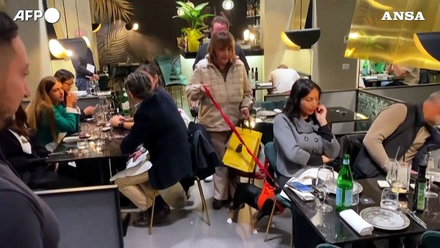 A Roma ha aperto Fiuto , il primo ristorante per cani in Italia
