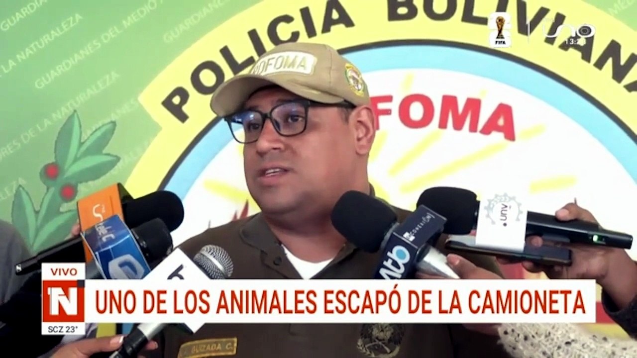 buscan a can