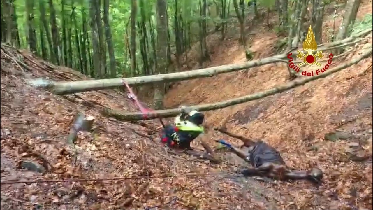 Il video del salvataggio del cavallo precipitato nel canalone: le immagini dell’animale sospeso nel vuoto