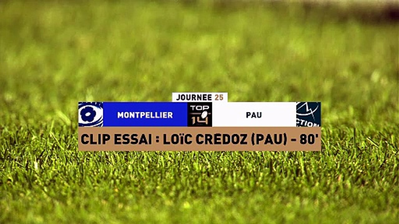 TOP 14 - Essai de Loïc CREDOZ (SP) - Montpellier Hérault Rugby - Section Paloise