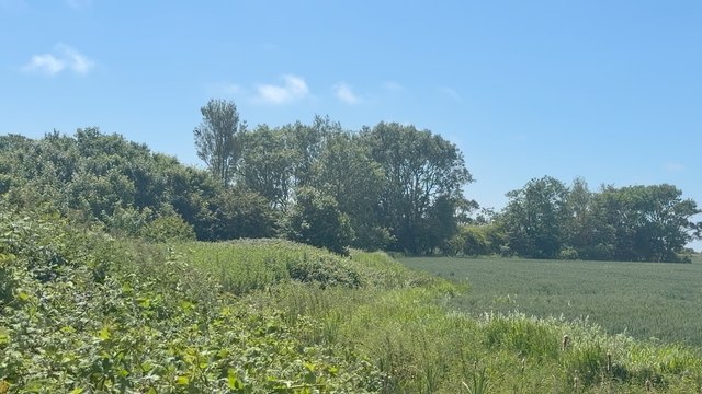 Kent's largest solar farm is one step closer to going ahead...