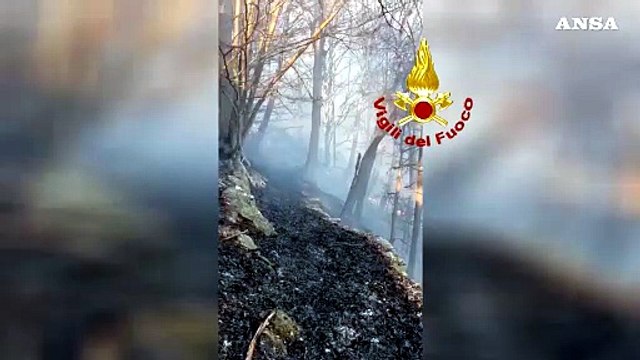Ennesimo incendio boschivo in Valle di Susa, vigili del fuoco al lavoro