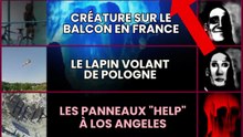 L'iceberg des trucs les plus flippants trouvés sur Google Earth 🧊