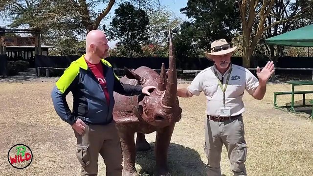 B-Wild 2024 - Gli ultimi rinoceronti | B-Wild 2024 - Gli ultimi rinoceronti