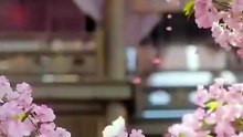 After Divorce, the Younger Jinyiwei Doted On Me / After The Divorce The Younger Jinyiwei Strongly Spoil Me - FULL MOVIES ENGLISH SUB