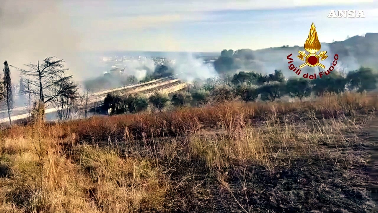 Incendi lungo la A14, spente le fiamme