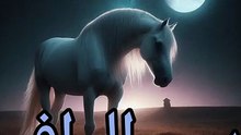 و بعض القول ليس له عناج ،  عمرو بن الإطنابة