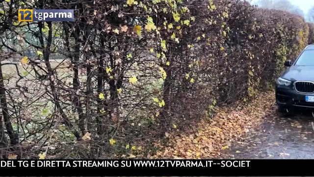 Primi fiocchi di neve - Video