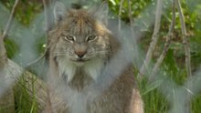 02 juin SU MB bioparc
