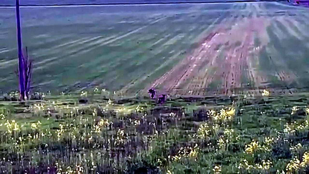 Vid-20240302-wa0002